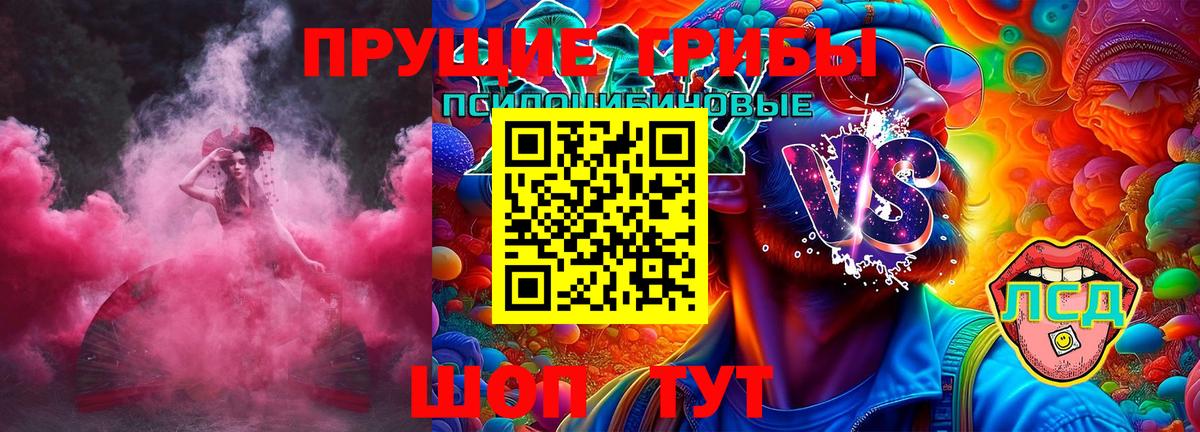 Галлюциногенные грибы Psilocybine cubensis Белогорск